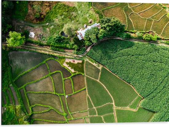 Dibond - Bovenaanzicht van een Landschap Gevuld met Rijstvelden - 80x60 cm Foto op Aluminium (Met Ophangsysteem)