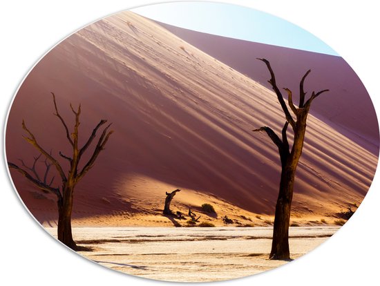 PVC Schuimplaat Ovaal - Kale Bomen in Woestijn Landschap - 68x51 cm Foto op Ovaal (Met Ophangsysteem)