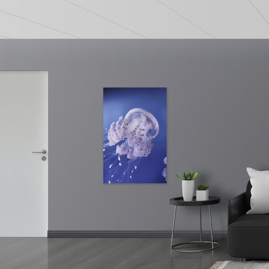 WallClassics - Panneau en mousse PVC – Méduse dans Water violette – 80 x 120 cm Photo sur panneau en mousse PVC