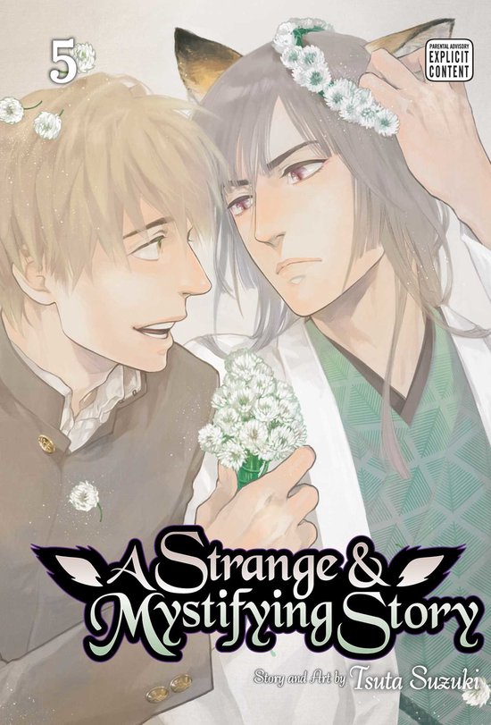 A Strange and Mystifying Story-A Strange & Mystifying Story, Vol. 5