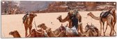 WallClassics - Tuinposter – Kamelen in de Woestijn - 120x40 cm Foto op Tuinposter (wanddecoratie voor buiten en binnen)