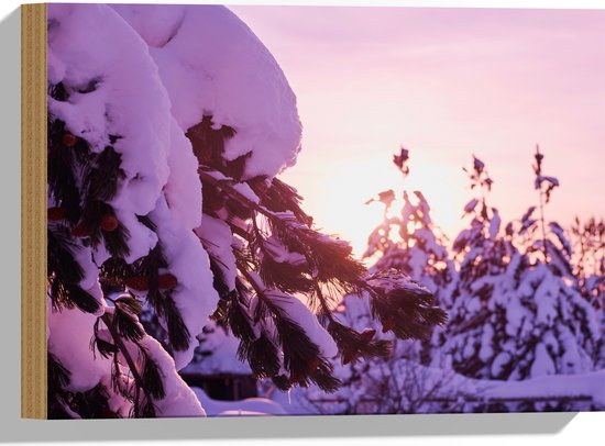 Hout - Rij Bomen met Dikke Laag Sneeuw tijdens de Avondzon - 40x30 cm - 9 mm dik - Foto op Hout (Met Ophangsysteem)