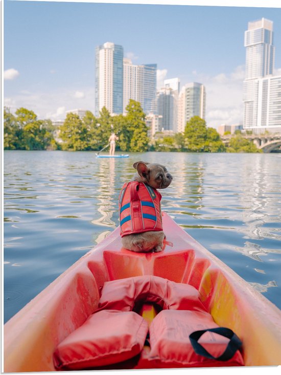 WallClassics - PVC Schuimplaat - Hondje met Zwemvest op een Boot - 60x80 cm Foto op PVC Schuimplaat (Met Ophangsysteem)