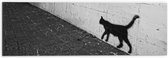 WallClassics - Dibond - Muurversiering van Kat - 60x20 cm Foto op Aluminium (Met Ophangsysteem)