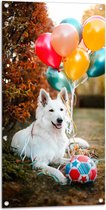 WallClassics - Tuinposter – Liggende Hond met Bal en Ballonnen - 50x100 cm Foto op Tuinposter (wanddecoratie voor buiten en binnen)