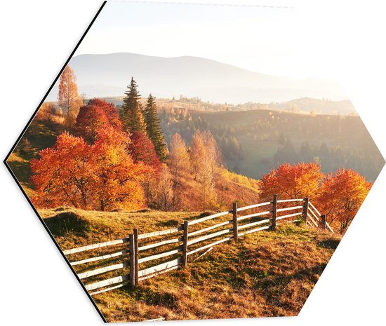 Dibond Hexagon - Hek langs Herfstbomen in Berglandschap - 50x43.5 cm Foto op Hexagon (Met Ophangsysteem)