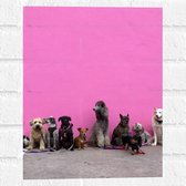 WallClassics - Muursticker - Hondenfamilie tegen Roze Achtergrond - 30x40 cm Foto op Muursticker