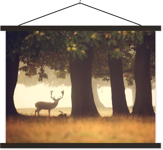 Porte-affiche avec affiche - Affiche scolaire - Cerf - Arbres - Forêt - 120x90 cm - Lattes noires