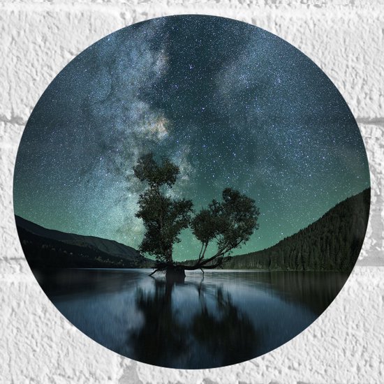 WallClassics - Muursticker Cirkel - Prachtige Nacht met Sterren in de Natuur - 20x20 cm Foto op Muursticker