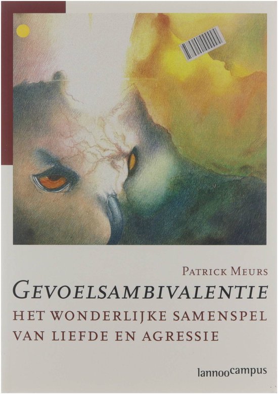 Gevoelsambivalentie - cover