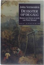 De ekster op de galg - Roman over het leven en werk van Pieter Bruegel