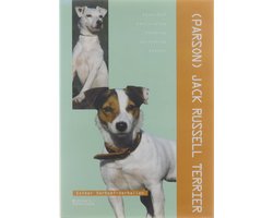 Jack Russel Terrier