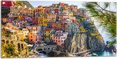 WallClassics - Tuinposter – Gekleurde Huizen op de Berg - Italië - 100x50 cm Foto op Tuinposter (wanddecoratie voor buiten en binnen)