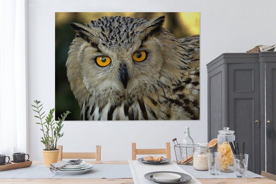 Photo d'une toile européenne hibou grand-duc d'Asie 160x120 cm - Tirage photo sur toile (Décoration murale salon / chambre) XXL / Groot format!