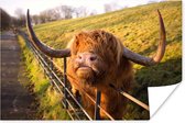 Highlander écossais sur la clôture à Heaton Park papier pour affiche