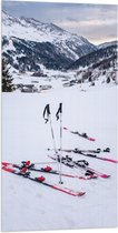 WallClassics - Vlag - Skielatten in de Sneeuw - 50x100 cm Foto op Polyester Vlag