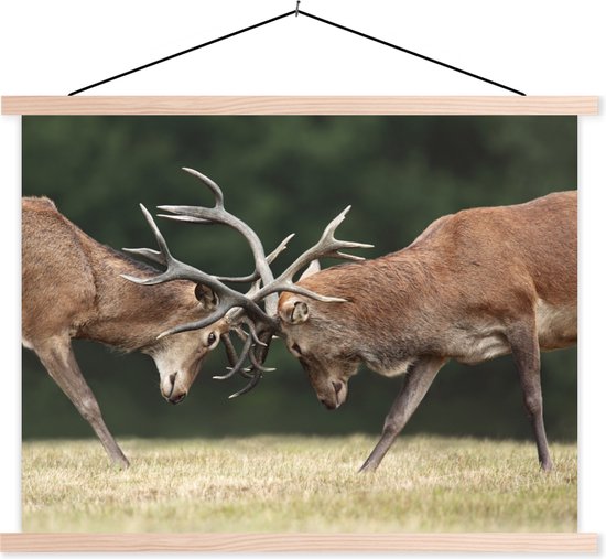 Deux lattes d'affiche textielposter de cerf de combat blanc 120x90 cm