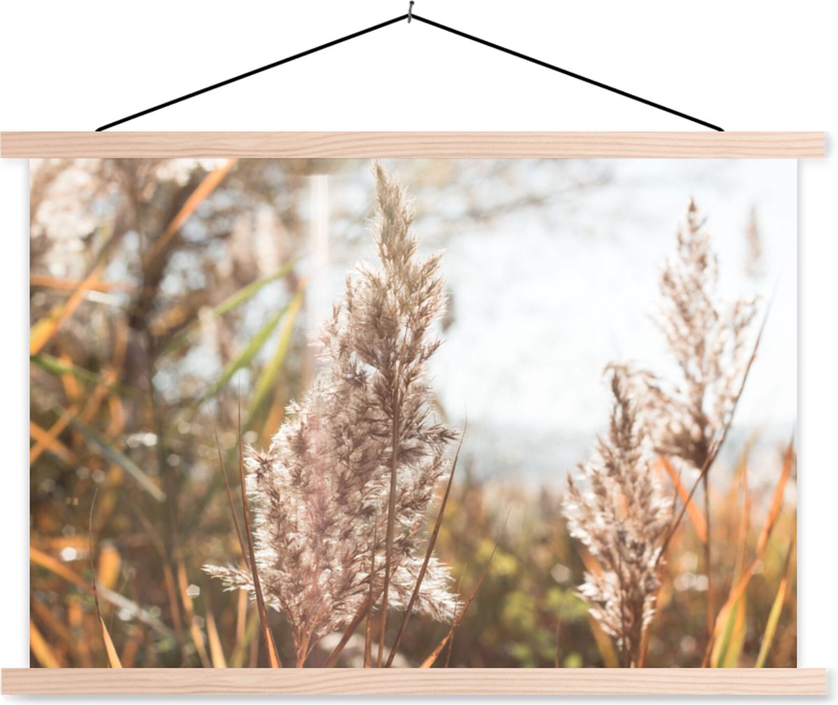 Posterhanger incl. Poster 90x60 cm - Schoolplaat - Riet - Zon - Plant - Textielposter - Blanke latten