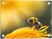 WallClassics - Tuinposter – Bijtje op een Gele Bloem - 40x30 cm Foto op Tuinposter (wanddecoratie voor buiten en binnen)