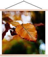 Porte-affiche avec affiche - Affiche scolaire - Beuk - Automne - Feuilles - 60x60 cm - Lattes transparentes
