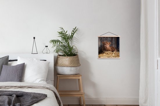 Affiche scolaire - Highlander écossais - Ferme - Paille - 40x40 cm - Lattes vierges