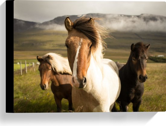 WallClassics - Canvas - Drie Paarden in de Weide - 40x30 cm Foto op Canvas Schilderij (Wanddecoratie op Canvas)