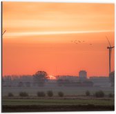 Dibond - Zonsondergang bij Windmolens in het Veld - 50x50 cm Foto op Aluminium (Met Ophangsysteem)