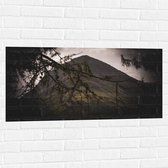 Muursticker - Takken voor Groene Berg - 100x50 cm Foto op Muursticker