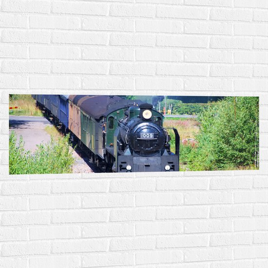 WallClassics - Muursticker - Trein tussen Struiken - 120x40 cm Foto op Muursticker