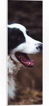 WallClassics - Panneau en mousse PVC – Chien Zwart et Witte avec gueule ouverte – Photo 20 x 60 cm sur panneau en mousse PVC