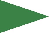 Groene Puntvlag 50x75cm
