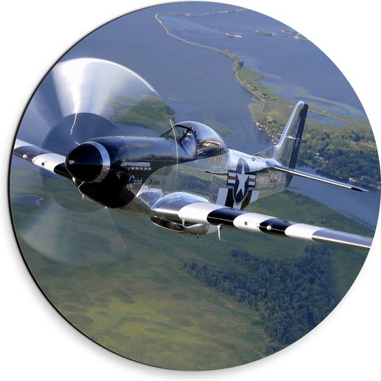 WallClassics - Dibond Muurcirkel - Vliegende grijze Vliegtuig boven Land - 30x30 cm Foto op Aluminium Muurcirkel (met ophangsysteem)
