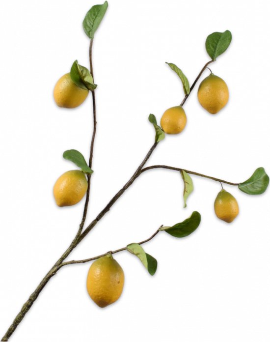 3x citroentak citroen tak - kunstbloem - geel- 92 cm - Silk-Ka