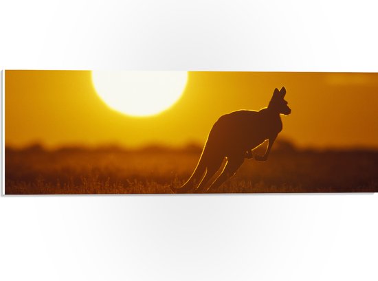 PVC Schuimplaat- Zonsondergang Silhouet van een Kangoeroe - 60x20 cm Foto op PVC Schuimplaat