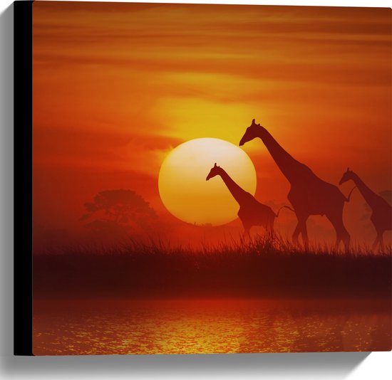 Canvas - Zonsondergang Silhouet van Giraffen - 40x40 cm Foto op Canvas Schilderij (Wanddecoratie op Canvas)