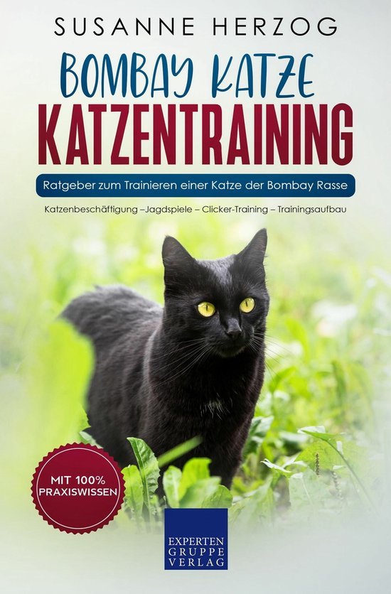 Bombay Katze Katzentraining Ratgeber zum Trainieren einer Katze der