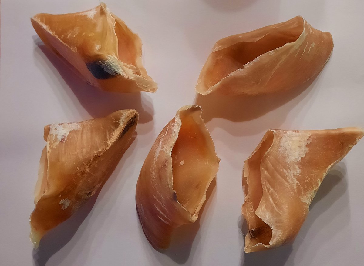 Kauwhoefjes rund ( 25 stuks )
