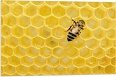 WallClassics - Vlag - Bij tussen de Honing - 75x50 cm Foto op Polyester Vlag