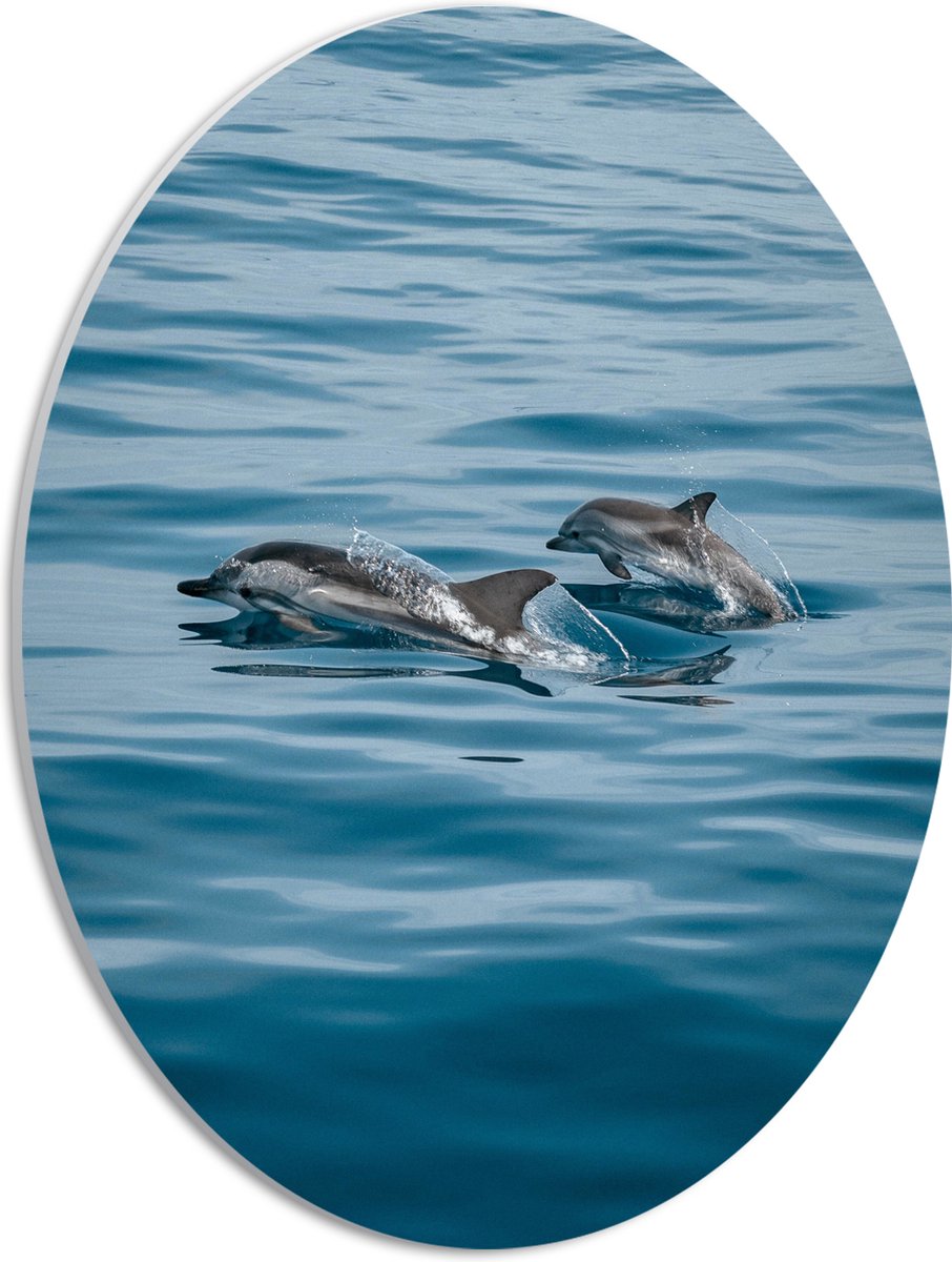 PVC Schuimplaat Ovaal - Baby Dolfijn met Moeder zwemmend in de Zee - 30x40 cm Foto op Ovaal (Met Ophangsysteem)
