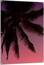 WallClassics - Tuinposter – Silhouette van een Palmboom bij Roze Lucht - 100x150 cm Foto op Tuinposter (wanddecoratie voor buiten en binnen)