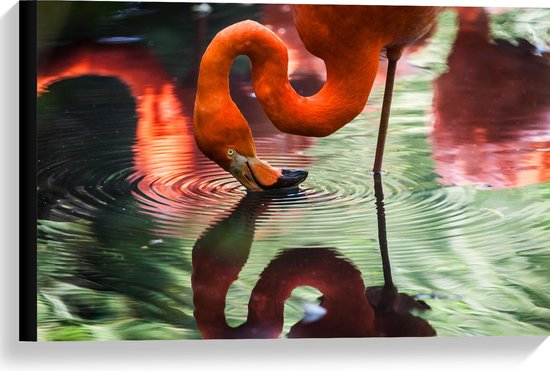 WallClassics - Canvas - Flamingo met Kop in het Water - 60x40 cm Foto op Canvas Schilderij (Wanddecoratie op Canvas)