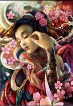 Denza - Diamond painting volwassenen Chinese vrouw 40 x 50 cm volledige bedrukking ronde steentjes direct leverbaar - tatoe - chinees - women - uniek - zeer mooi - geisha
