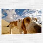 WallClassics - Muursticker - Close-Up van Snuffelende Hond - 120x80 cm Foto op Muursticker