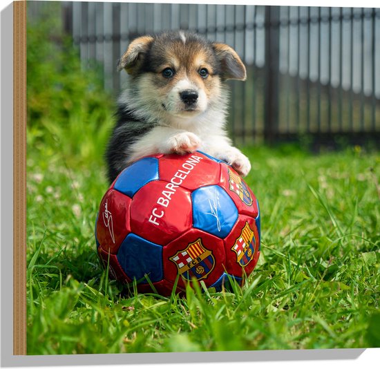 WallClassics - Hout - Hondje Speelt met een Voetbal - 50x50 cm - 9 mm dik - Foto op Hout (Met Ophangsysteem)