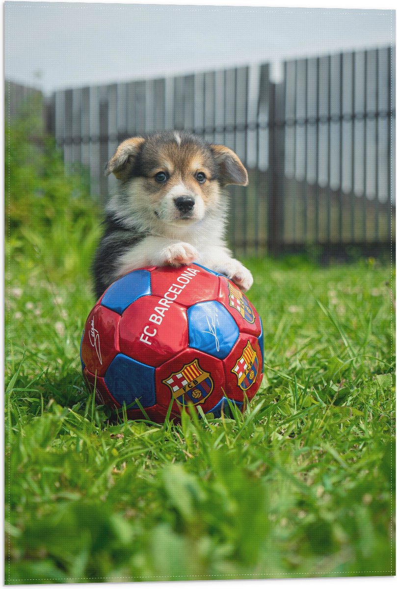 Vlag - Hondje Speelt met een Voetbal - 40x60 cm Foto op Polyester Vlag