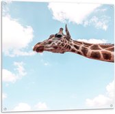 WallClassics - Tuinposter – Giraf in de Lucht - 100x100 cm Foto op Tuinposter (wanddecoratie voor buiten en binnen)