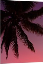 WallClassics - Acrylglas - Silhouette van een Palmboom bij Roze Lucht - 80x120 cm Foto op Acrylglas (Met Ophangsysteem)