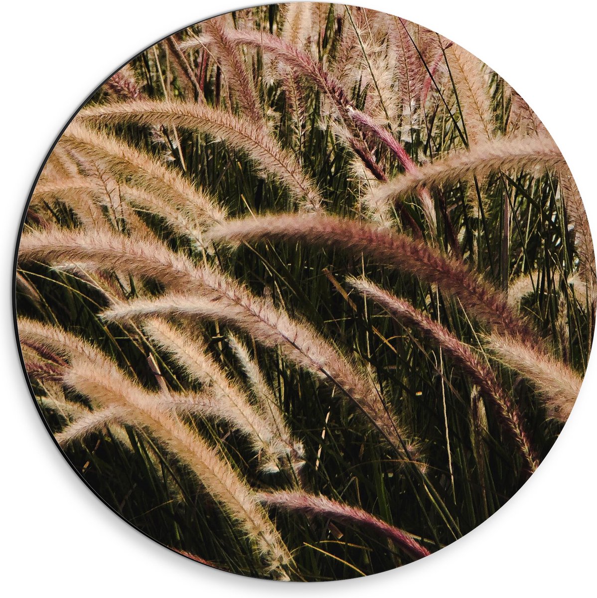 Dibond Muurcirkel - Sierlijke Fontein Gras - 30x30 cm Foto op Aluminium Muurcirkel (met op