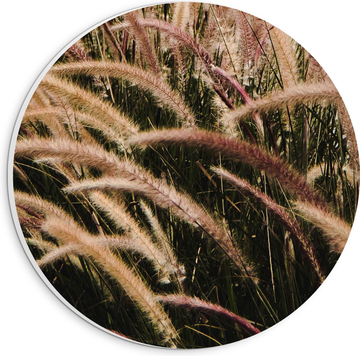 PVC Schuimplaat Muurcirkel - Sierlijke Fontein Gras - 20x20 cm Foto op Muurcirkel (met oph