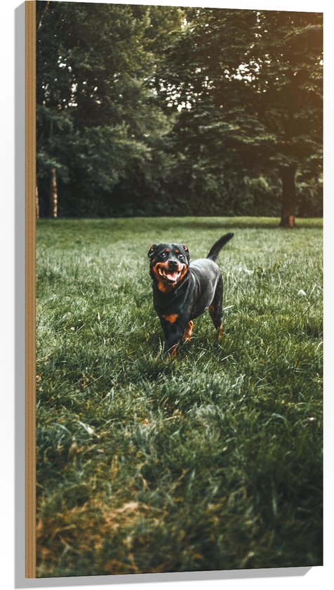 WallClassics - Hout - Zwarte Hond Rent in het Gras - 50x100 cm - 9 mm dik - Foto op Hout (Met Ophangsysteem)